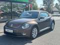 Volkswagen Beetle Cabriolet Design BMT **NAVI*SHZ*2-HAND** Braun - thumbnail 9