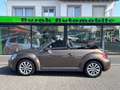Volkswagen Beetle Cabriolet Design BMT **NAVI*SHZ*2-HAND** Braun - thumbnail 4
