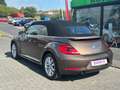 Volkswagen Beetle Cabriolet Design BMT **NAVI*SHZ*2-HAND** Braun - thumbnail 11