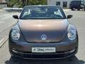 Volkswagen Beetle Cabriolet Design BMT **NAVI*SHZ*2-HAND** Braun - thumbnail 2