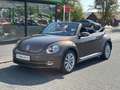 Volkswagen Beetle Cabriolet Design BMT **NAVI*SHZ*2-HAND** Braun - thumbnail 1