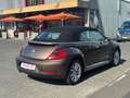 Volkswagen Beetle Cabriolet Design BMT **NAVI*SHZ*2-HAND** Braun - thumbnail 12
