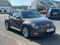 Volkswagen Beetle Cabriolet Design BMT **NAVI*SHZ*2-HAND** Braun - thumbnail 10