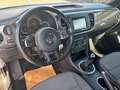 Volkswagen Beetle Cabriolet Design BMT **NAVI*SHZ*2-HAND** Braun - thumbnail 14