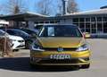 Volkswagen Golf Golf VII 1.4 TSI BMT Highline Navi/Pano.-Dach/LM Gelb - thumbnail 2