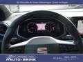SEAT Arona Xperience DSG/Nav/RFK/aPTS/ACC/14tkm Grijs - thumbnail 8