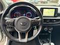 Kia Picanto 1.0 MPI Dynamic,Carplay,Camera,Cruise,LMV,Airco,Na Weiß - thumbnail 12