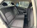 Kia Picanto 1.0 MPI Dynamic,Carplay,Camera,Cruise,LMV,Airco,Na Weiß - thumbnail 44