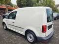 Volkswagen Caddy KASTEN ECOPROFI BMT AUSTAUSCHMOTOR Weiß - thumbnail 7