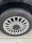 Fiat 500 1.2 Lounge 69cv Nero - thumbnail 7