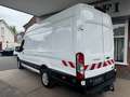 Ford Transit Kasten 350 L4 H3 Navi/Klima/AHK/PDC/1.Hd Blanc - thumbnail 3