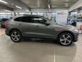 Jaguar F-Pace Prestige AWD ACC+Ionisator+LED+ParkAssist Gris - thumbnail 1