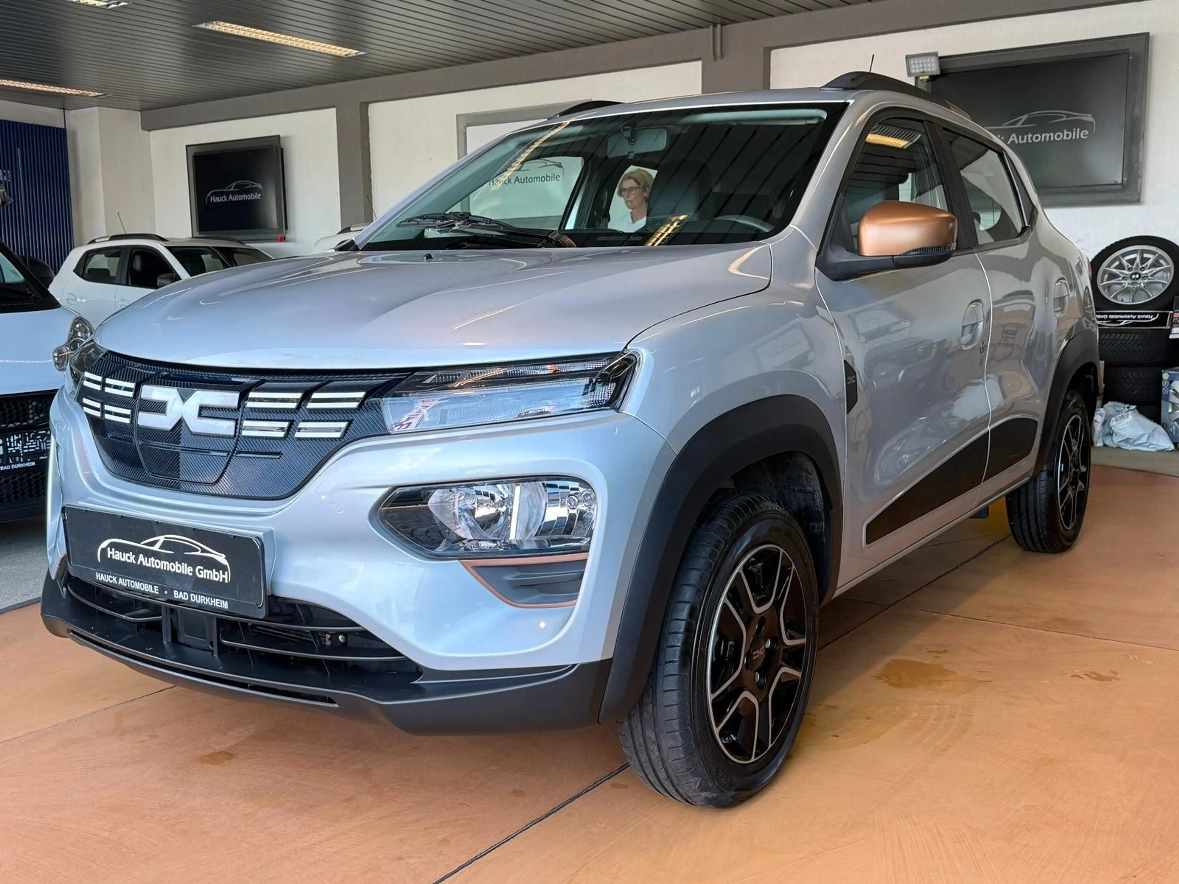 Dacia Spring Electric Extreme Navi / Volleder/ R-Kamer