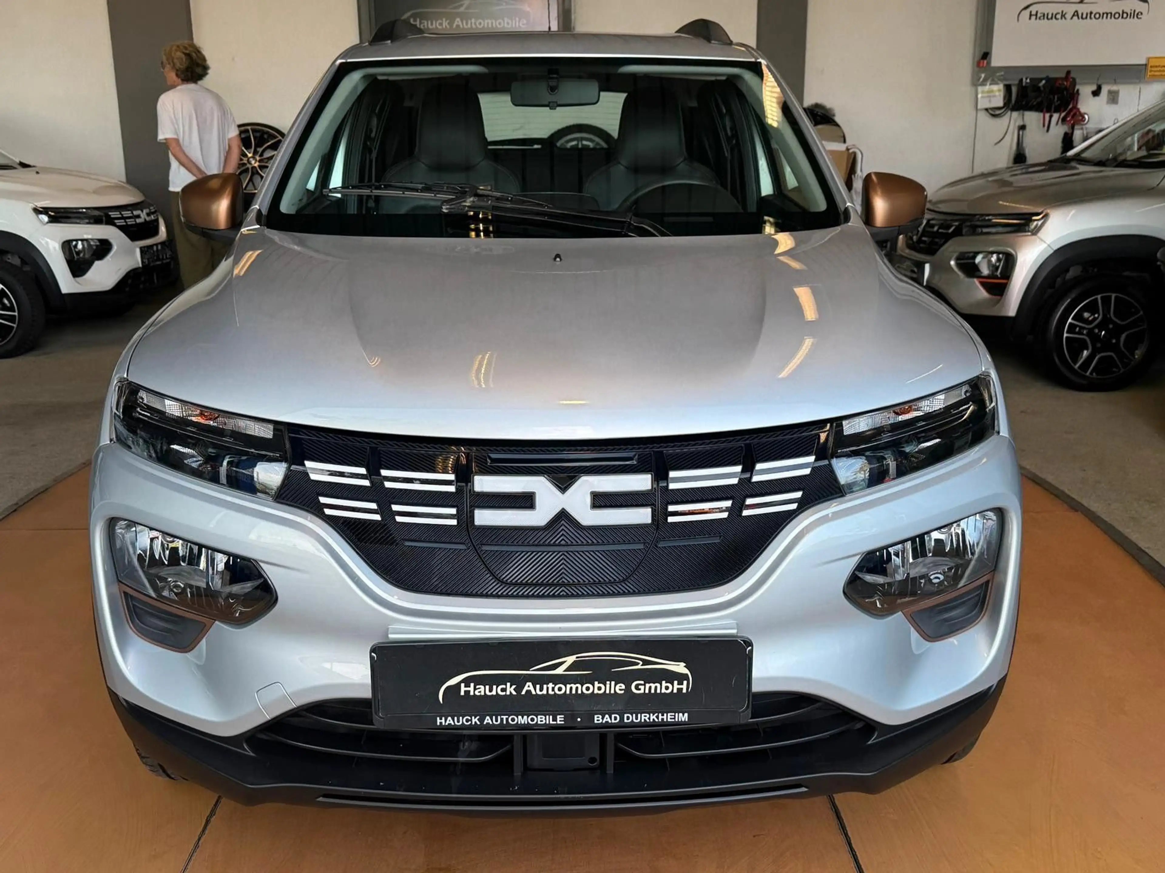 Dacia Spring Electric Extreme Navi / Volleder/ R-Kamer — photo 7