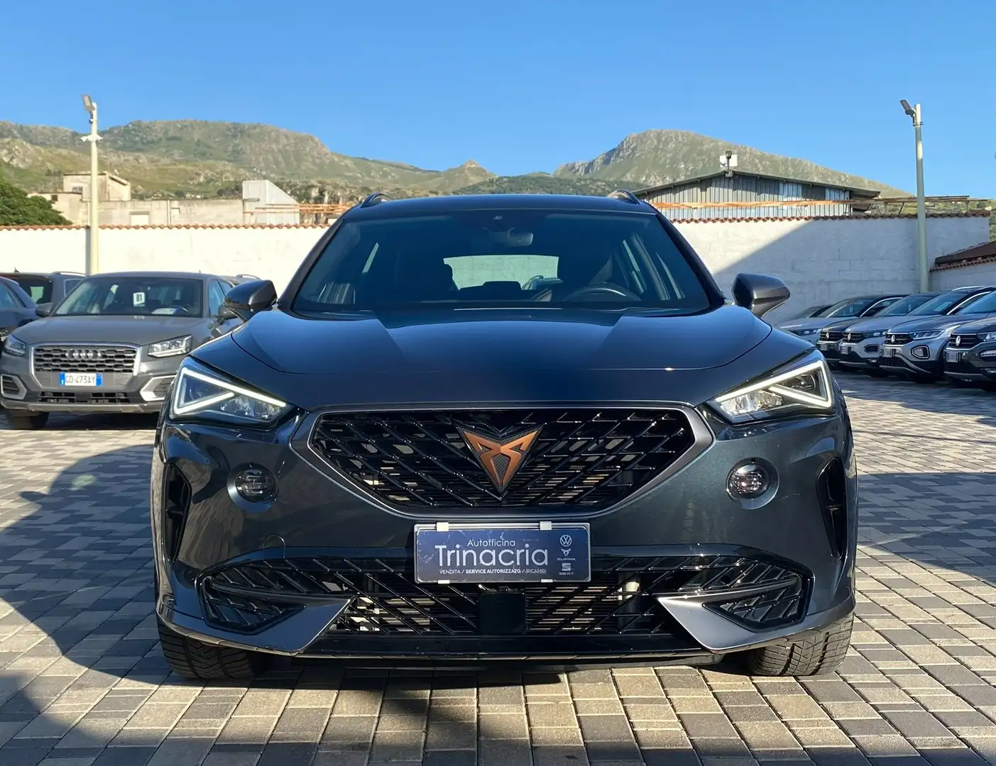 CUPRA Formentor 2.0 TDI 150CV DSG 4drive Gris - 2