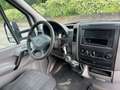 Mercedes-Benz Sprinter T43/35 310 CDI Cabinato Pro Bianco - thumbnail 8