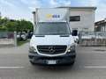 Mercedes-Benz Sprinter T43/35 310 CDI Cabinato Pro Bianco - thumbnail 7