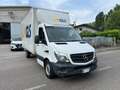 Mercedes-Benz Sprinter T43/35 310 CDI Cabinato Pro Bianco - thumbnail 6