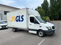 Mercedes-Benz Sprinter T43/35 310 CDI Cabinato Pro Bianco - thumbnail 5