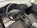 SEAT Leon 1.6 TDI Executive *PANO*PDC*TEMPO* Weiß - thumbnail 12