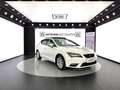 SEAT Leon 1.6 TDI Executive *PANO*PDC*TEMPO* Weiß - thumbnail 8