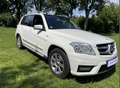 Mercedes-Benz GLK 250 GLK 250 CDI DPF 4Matic BE AMG Sportpaket Panorama Blanc - thumbnail 2