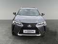 Lexus UX 250h LEXUS 2,0 UX250H ADVANCED AWD Grau - thumbnail 8