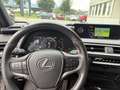 Lexus UX 250h LEXUS 2,0 UX250H ADVANCED AWD Grau - thumbnail 16