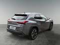 Lexus UX 250h LEXUS 2,0 UX250H ADVANCED AWD Grau - thumbnail 5