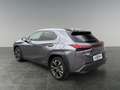 Lexus UX 250h LEXUS 2,0 UX250H ADVANCED AWD Grau - thumbnail 3
