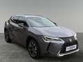 Lexus UX 250h LEXUS 2,0 UX250H ADVANCED AWD Grau - thumbnail 7