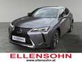 Lexus UX 250h LEXUS 2,0 UX250H ADVANCED AWD Grau - thumbnail 1