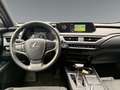 Lexus UX 250h LEXUS 2,0 UX250H ADVANCED AWD Grau - thumbnail 10