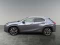 Lexus UX 250h LEXUS 2,0 UX250H ADVANCED AWD Grau - thumbnail 2