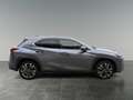 Lexus UX 250h LEXUS 2,0 UX250H ADVANCED AWD Grau - thumbnail 6