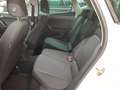 SEAT Ibiza Style 1.0 TSI Nav/Kam/LED/AppCon/ACC/SHZ Weiß - thumbnail 15