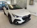 Subaru Crosstrek 2.0i e-boxer Style Bianco - thumbnail 3