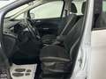 Ford C-Max Trend Aut. // 1.BESITZ // AHK // EINPARKHILFE // Weiß - thumbnail 13
