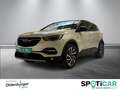 Opel Grandland X Innovation inkl. 360° Kamera / abn. AHK / Navi Weiß - thumbnail 1