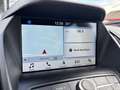 Ford Kuga 2,0 TDCi ST-Line 2.0l TDCI 110KW / 150PS 6-Gang... Schwarz - thumbnail 19