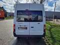 Ford Transit 350L 2.4 TDCI SHD /Org NL /NAP - thumbnail 5