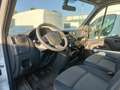 Renault Master 2.3 dci 130cv - 7 POSTI Centina e telone Bianco - thumbnail 5