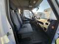 Renault Master 2.3 dci 130cv - 7 POSTI Centina e telone Bianco - thumbnail 8