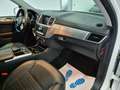 Mercedes-Benz ML 250 ML 250 bt Premium 4matic auto Bianco - thumbnail 7