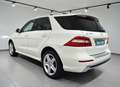 Mercedes-Benz ML 250 ML 250 bt Premium 4matic auto Bianco - thumbnail 4