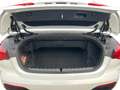 BMW Sonstige M440i xDrive Cabrio ADAPTLED/STNDHZNG/H&K/360° Weiß - thumbnail 14