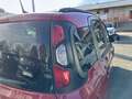 Fiat Panda 1.0 FireFly 70cv S&S Hybrid Cross Rosso - thumbnail 15