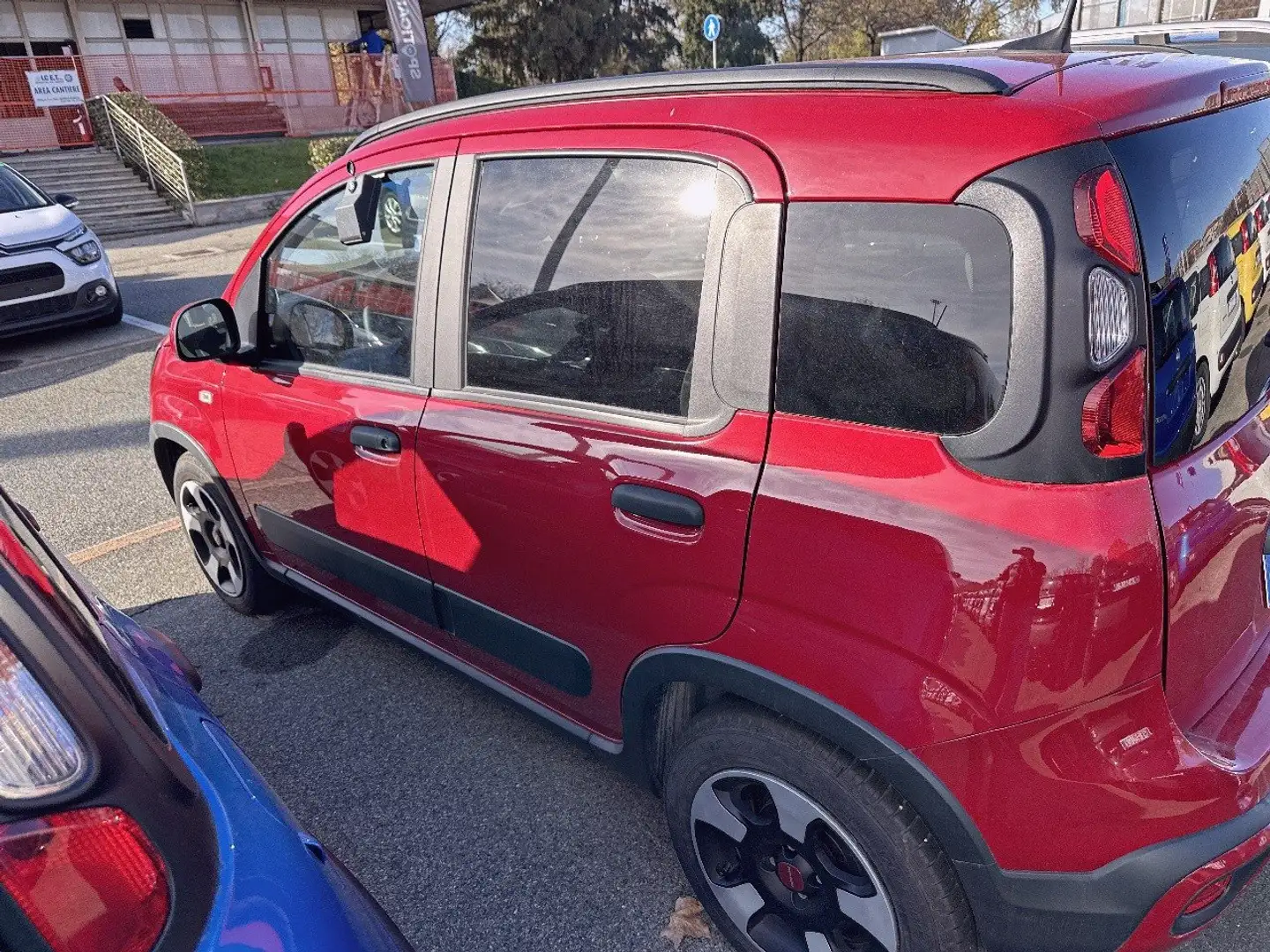 Fiat Panda 1.0 FireFly 70cv S&S Hybrid Cross Rosso - 2