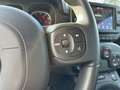 Fiat Panda 1.0 FireFly 70cv S&S Hybrid Cross Rosso - thumbnail 13