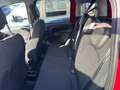 Fiat Panda 1.0 FireFly 70cv S&S Hybrid Cross Rosso - thumbnail 12
